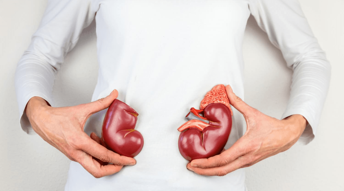 Dấu hiệu bệnh thận qua hình ảnh minh họa tổn thương thận và suy giảm chức năng thận